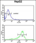 ACY3 Antibody (Center)